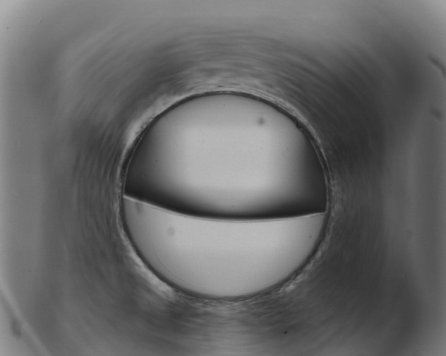X0000103461525200809121046