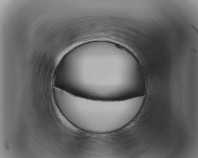 X0000103461526200809121046