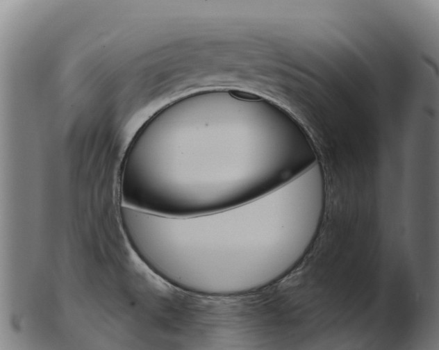 X0000103461527200809121046