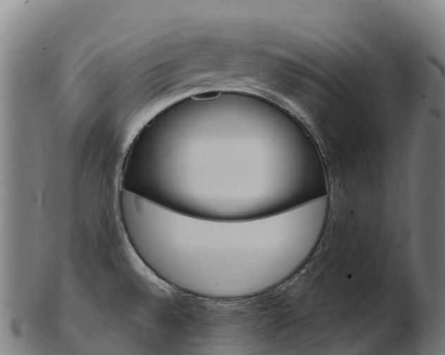 X0000103461528200809121046