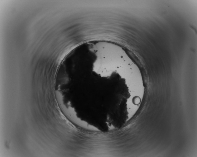 X0000103461529200809121046