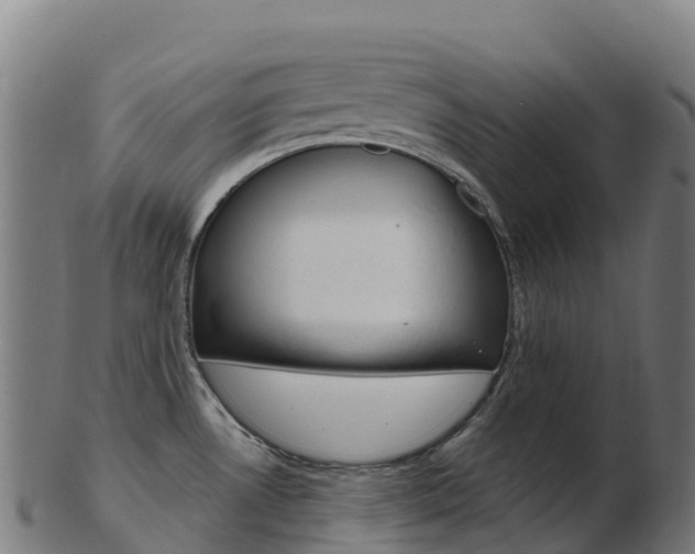 X0000103461530200809121046