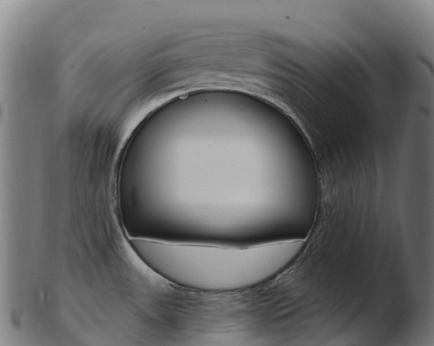 X0000103461531200809121046