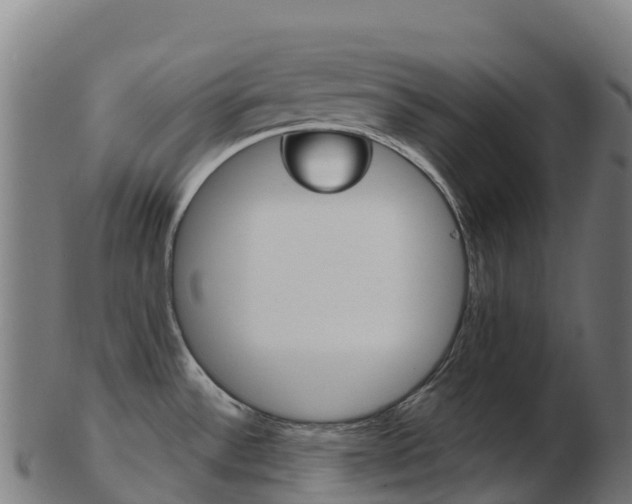 X0000103461532200809121046