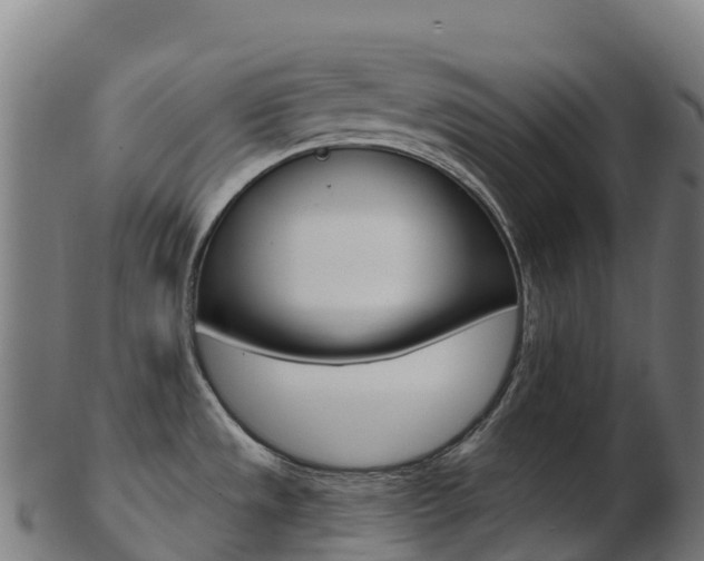 X0000103461533200809121046