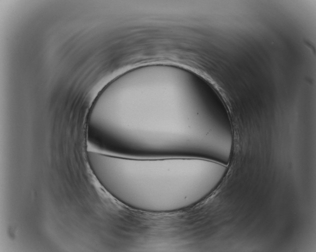 X0000103461534200809121046