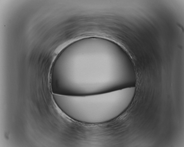 X0000103461535200809121046