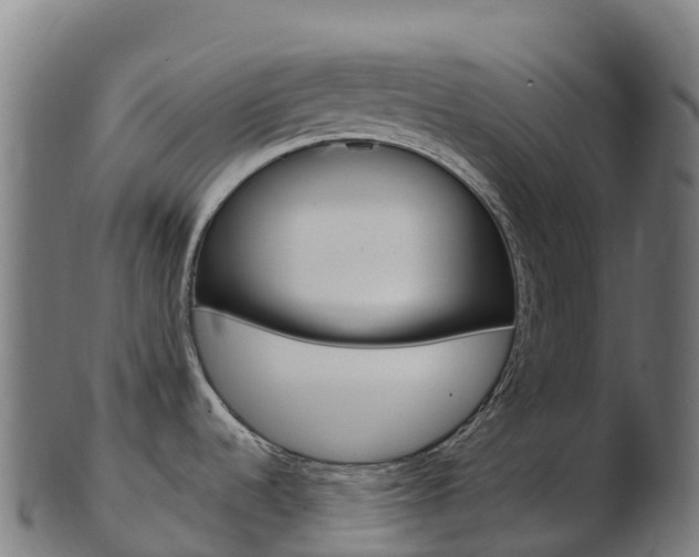 X0000103461536200809121046