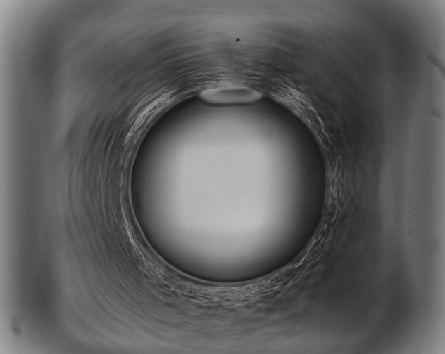 X0000103460001200809121614