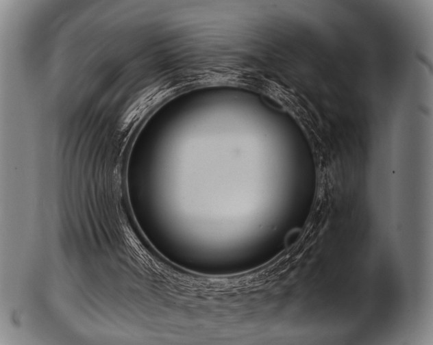 X0000103460002200809121614