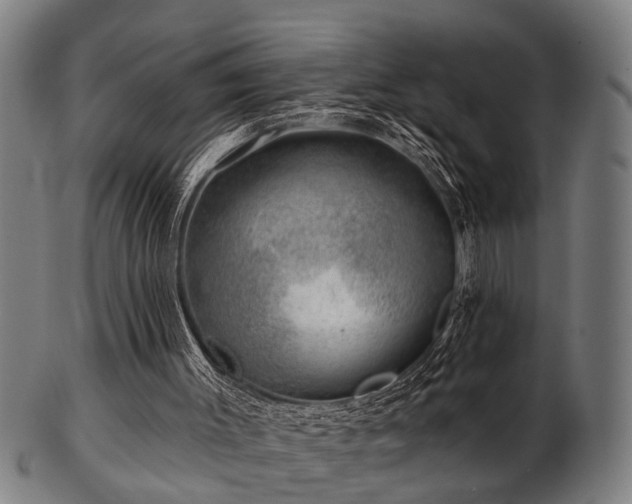 X0000103460003200809121614