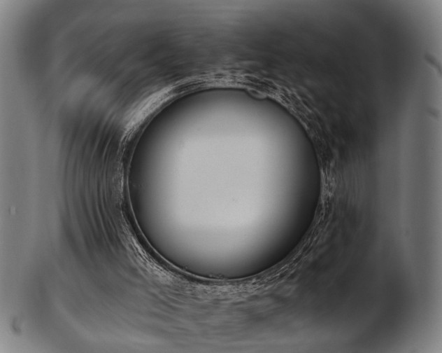 X0000103460005200809121614