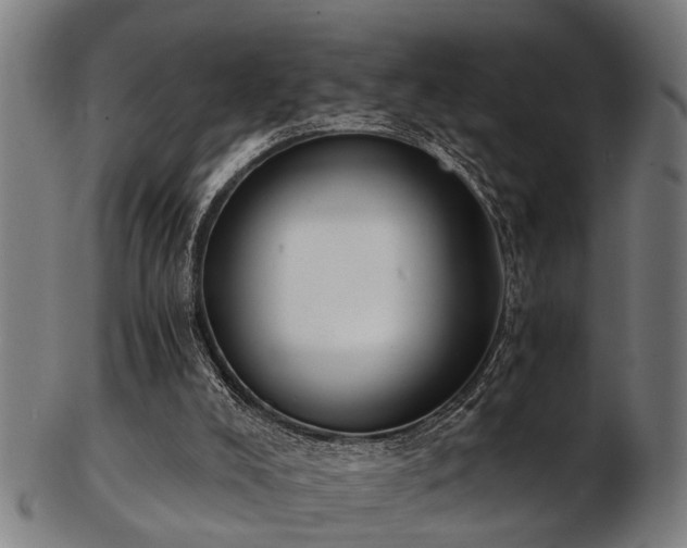 X0000103460008200809121614
