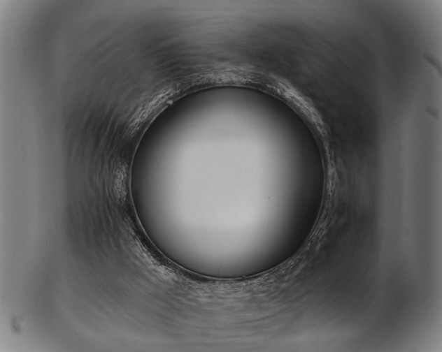 X0000103460009200809121614
