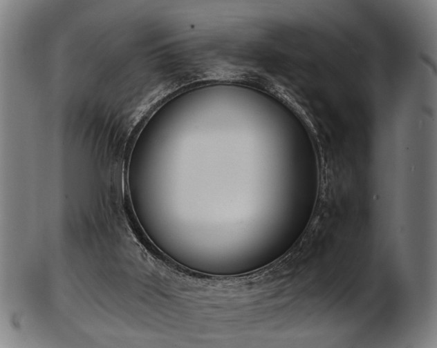 X0000103460011200809121614