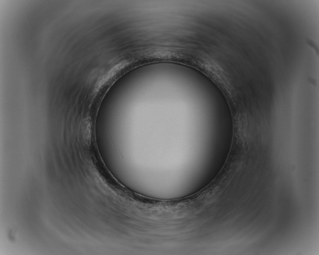 X0000103460016200809121614