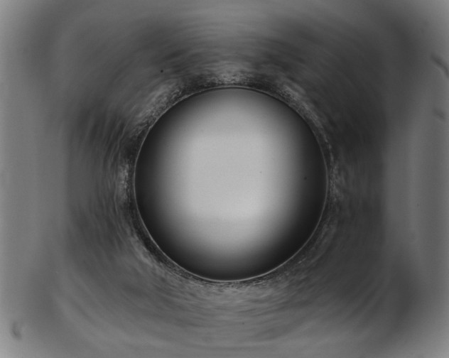 X0000103460018200809121614