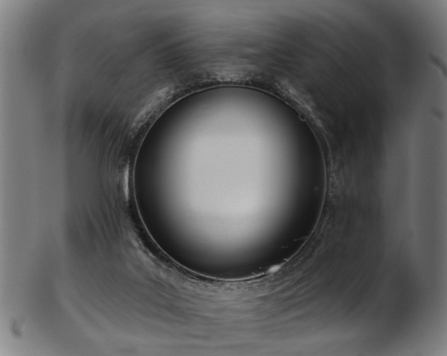 X0000103460019200809121614