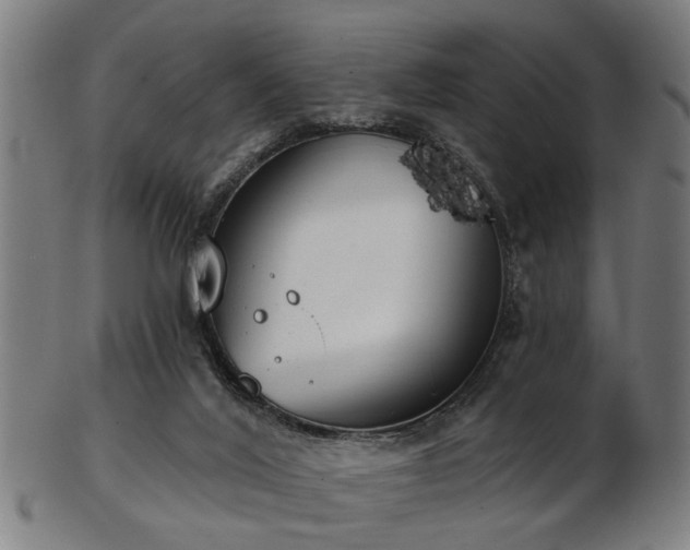 X0000103460020200809121614