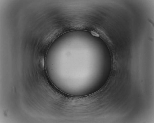 X0000103460021200809121613