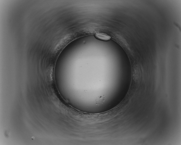 X0000103460023200809121613