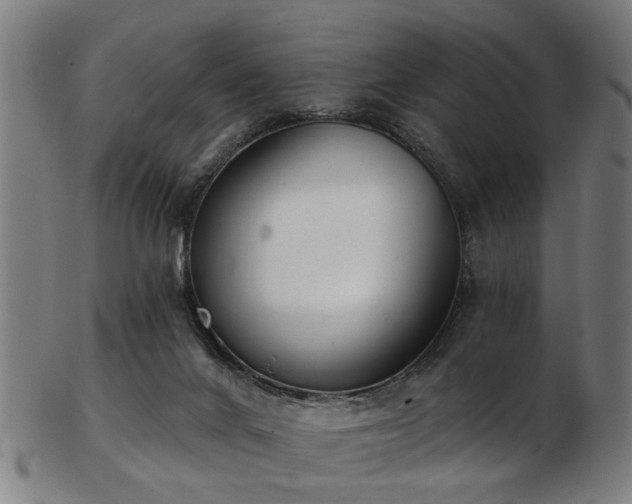 X0000103460024200809121613