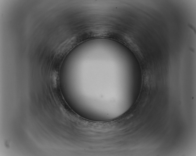 X0000103460026200809121613
