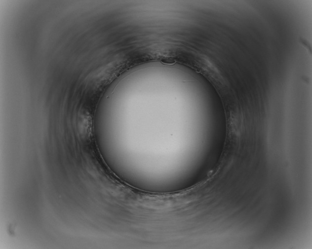 X0000103460029200809121613