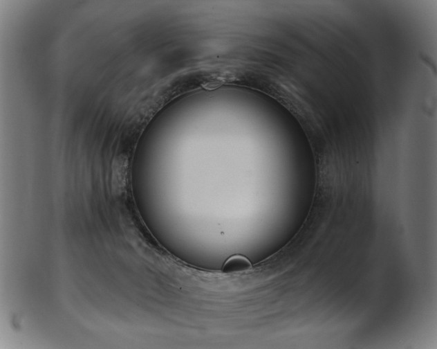 X0000103460030200809121613