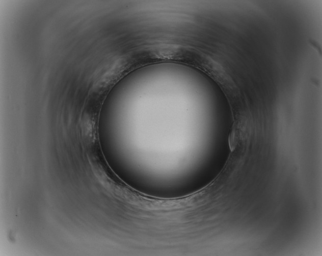 X0000103460031200809121613