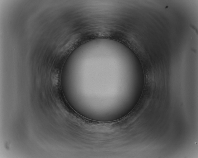 X0000103460032200809121613