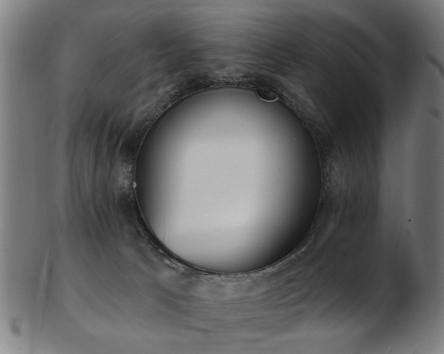 X0000103460033200809121613