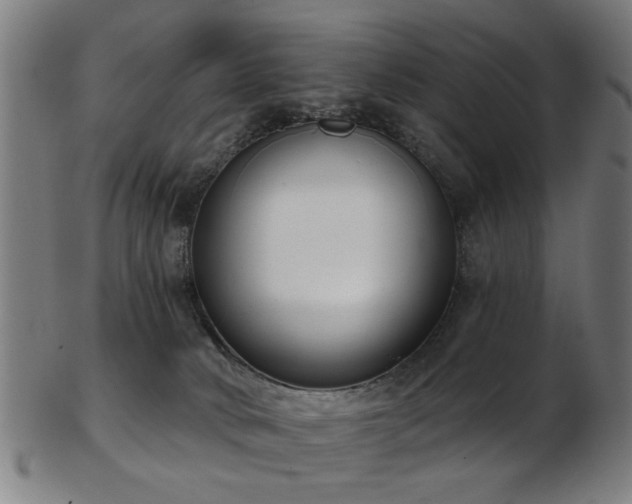 X0000103460034200809121613