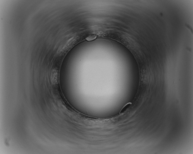 X0000103460036200809121613