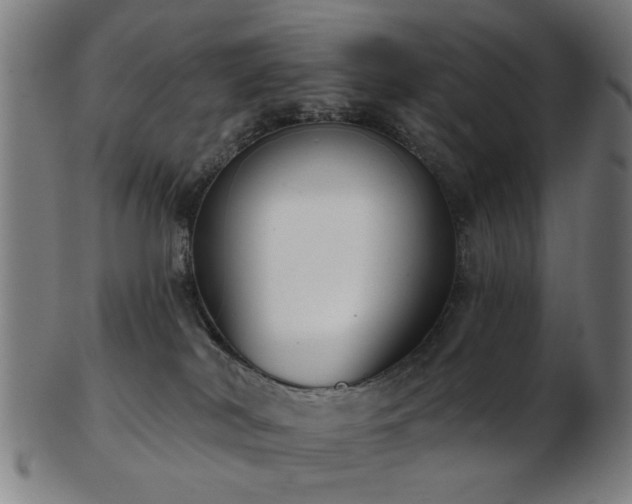 X0000103460038200809121613