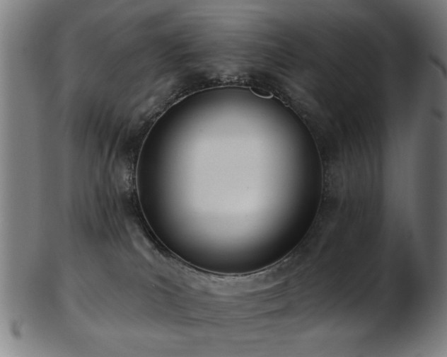 X0000103460039200809121613