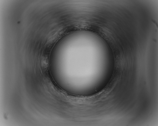 X0000103460040200809121613