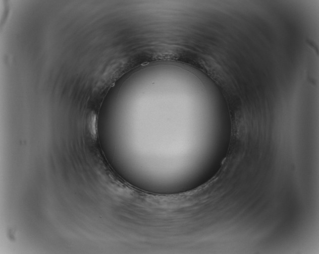 X0000103460041200809121613