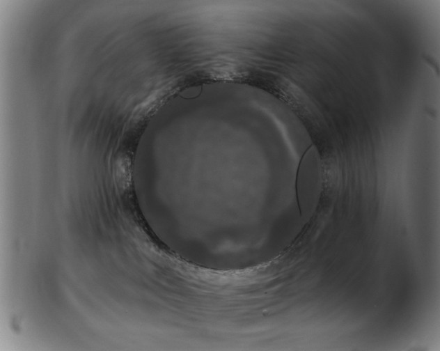 X0000103460043200809121613