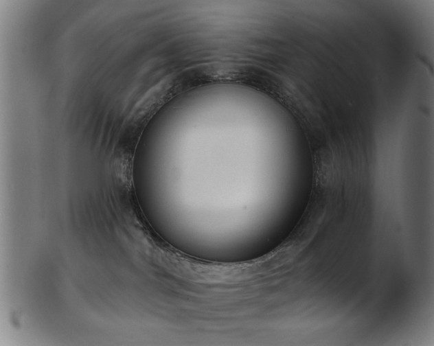 X0000103460044200809121613