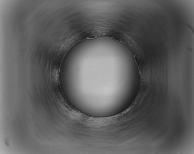 X0000103460045200809121613