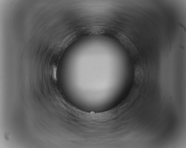 X0000103460046200809121613