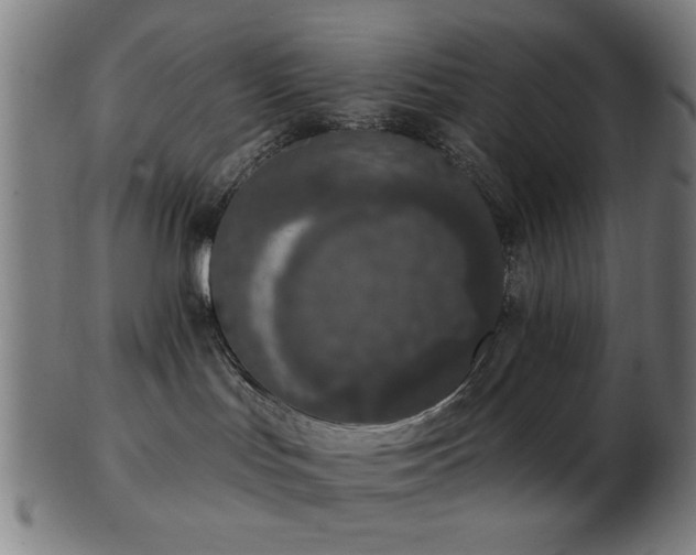 X0000103460047200809121613