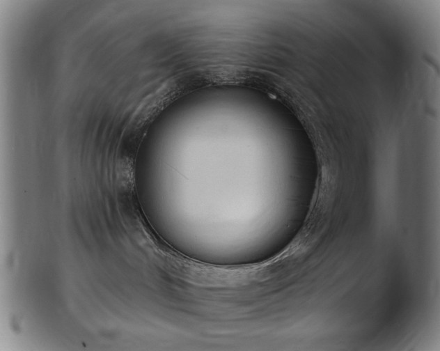 X0000103460048200809121613