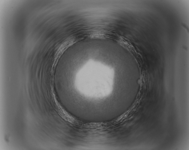 X0000103460049200809121612