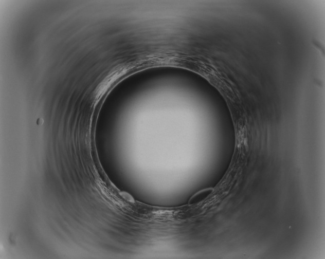 X0000103460052200809121612
