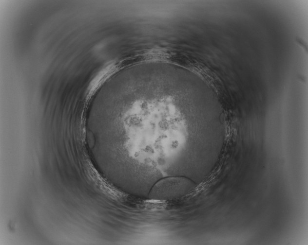 X0000103460053200809121613