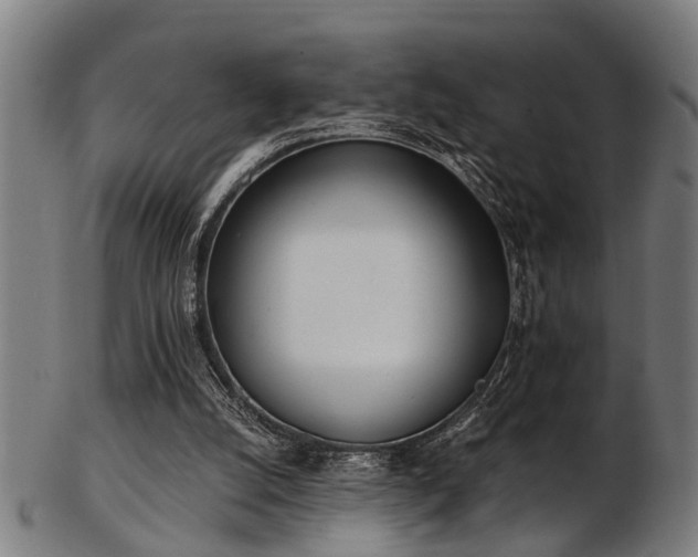 X0000103460056200809121613