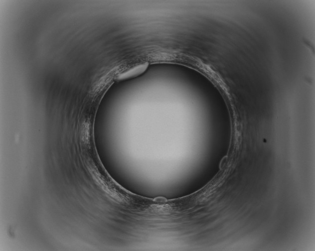 X0000103460057200809121613