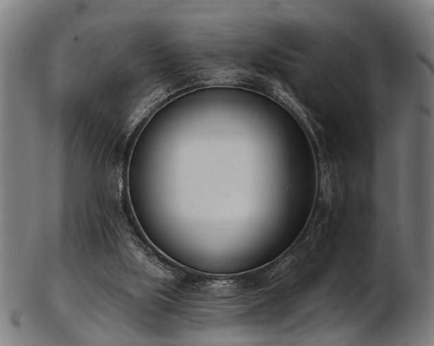 X0000103460059200809121613